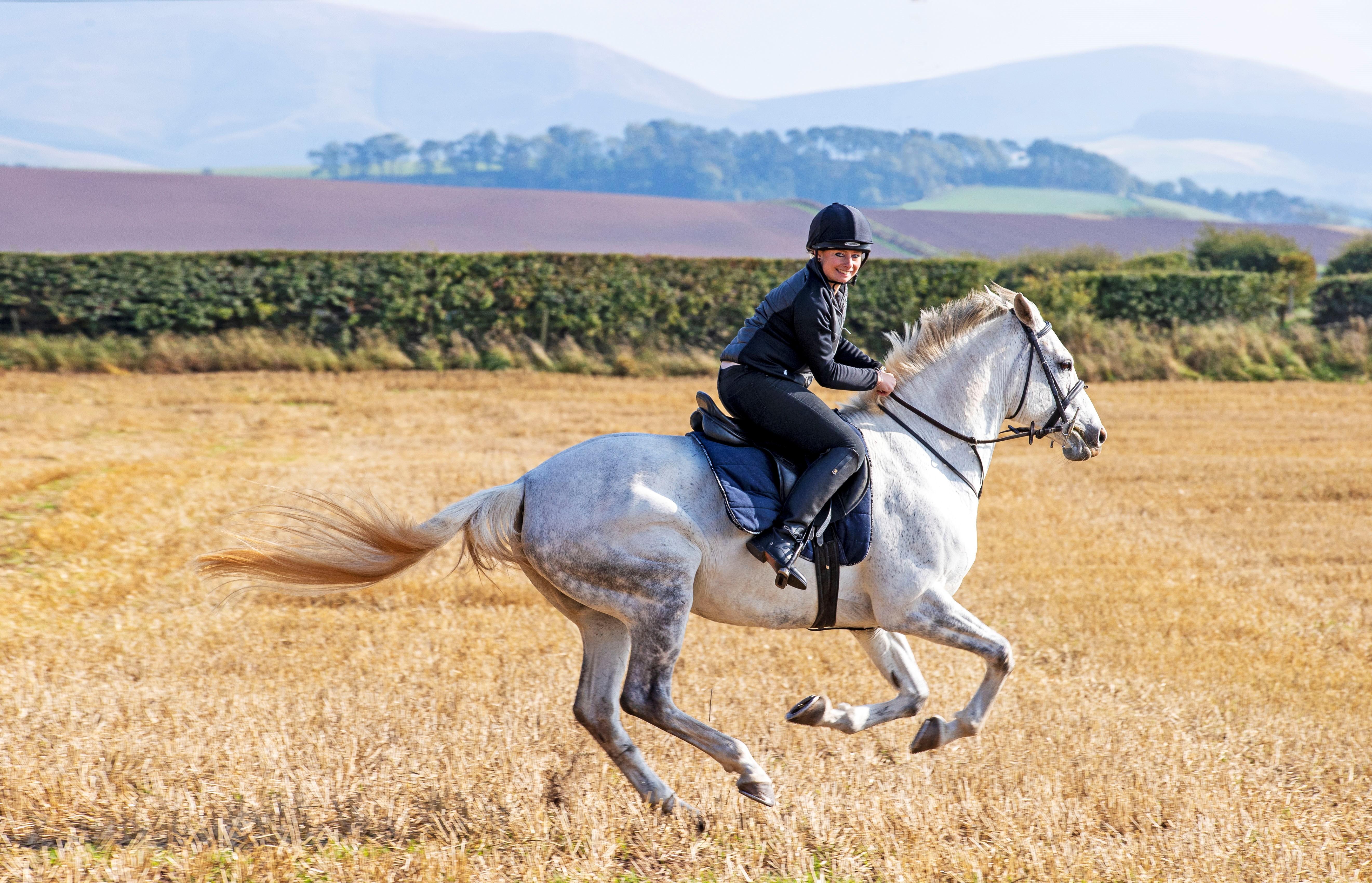 Schloss Roxburghe, Part Of Destination By Hyatt Bagian luar foto A rider on a purebred Spanish horse